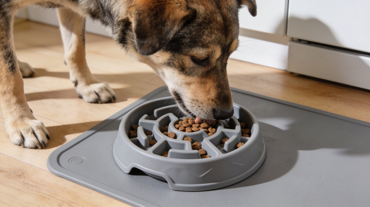 Dog eating kibble from a maze slow feeder bowl on a non-slip feeding mat