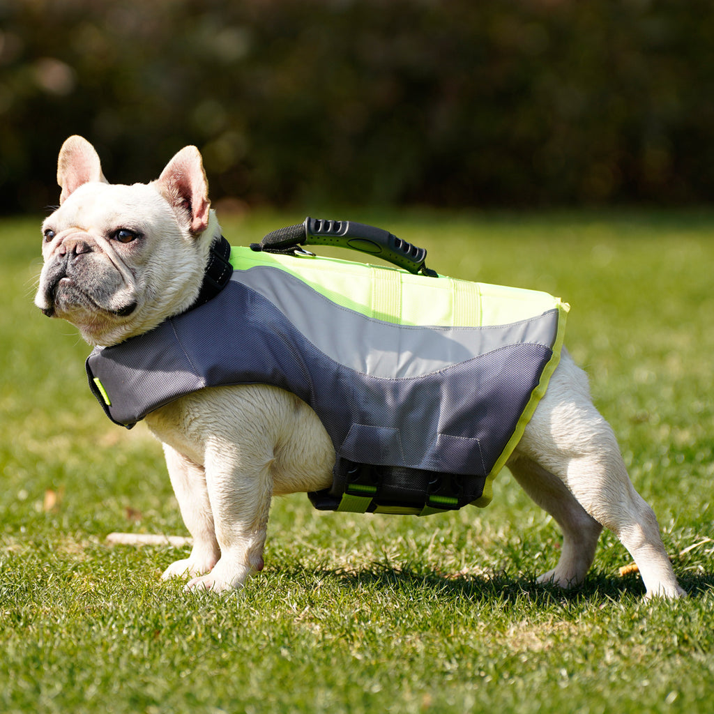 Reflective dog life jacket with rescue handle, view 2