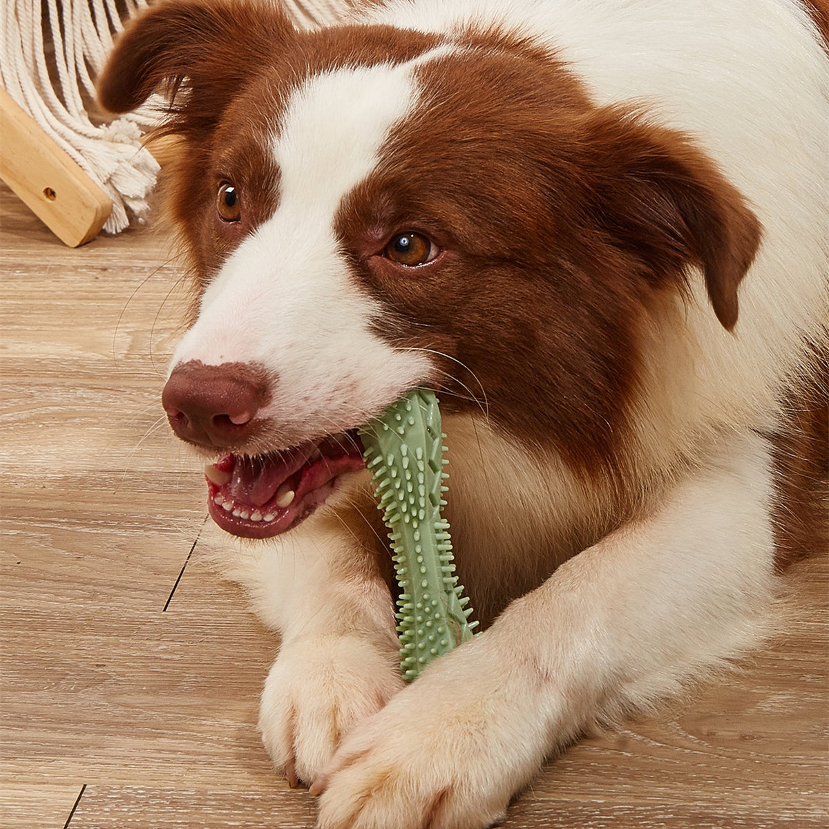 Rubber puppy chew toy treat ball with hollow center, view 2