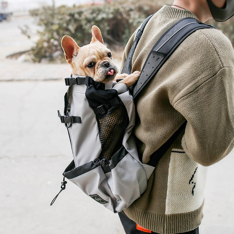 Legs-out front dog carrier backpack for small dogs, view 2