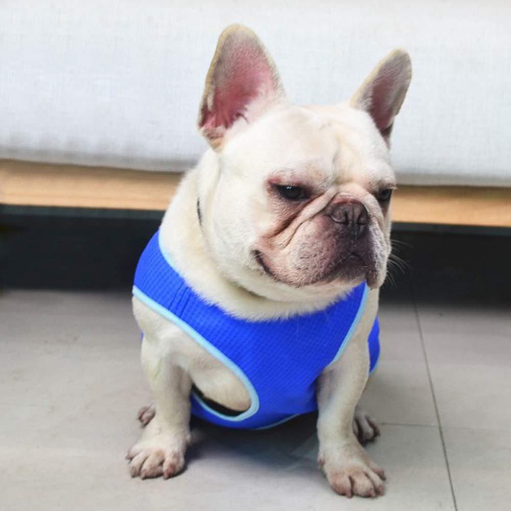 Blue summer cooling vest for small dogs, view 6