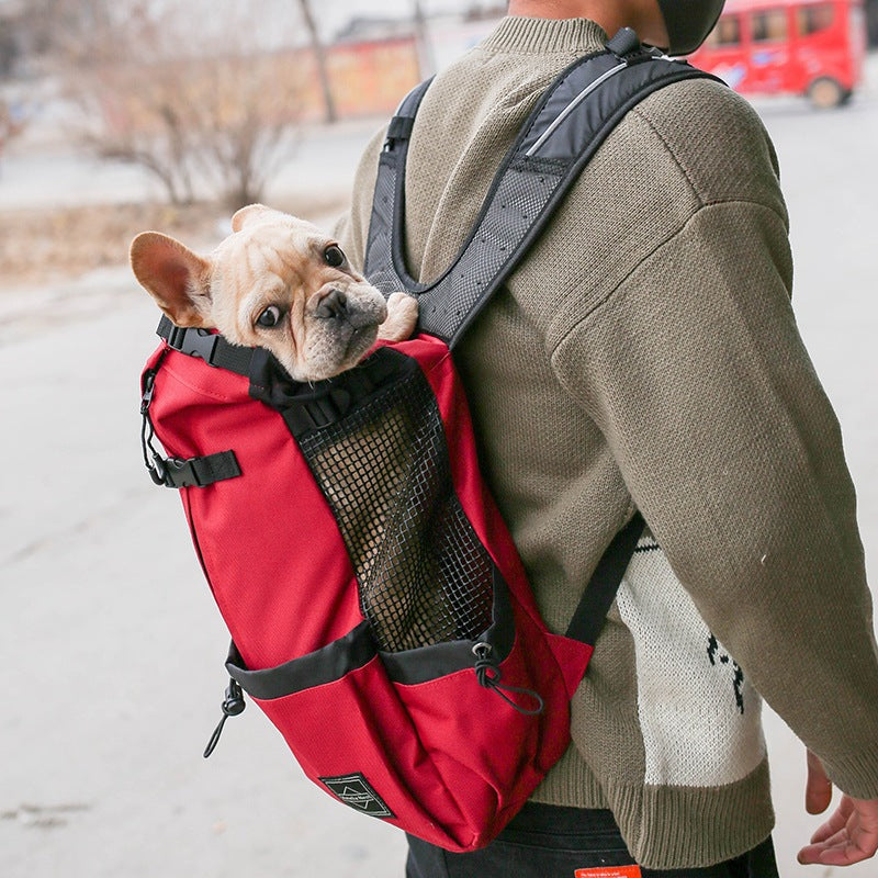 Legs-out front dog carrier backpack for small dogs, view 10