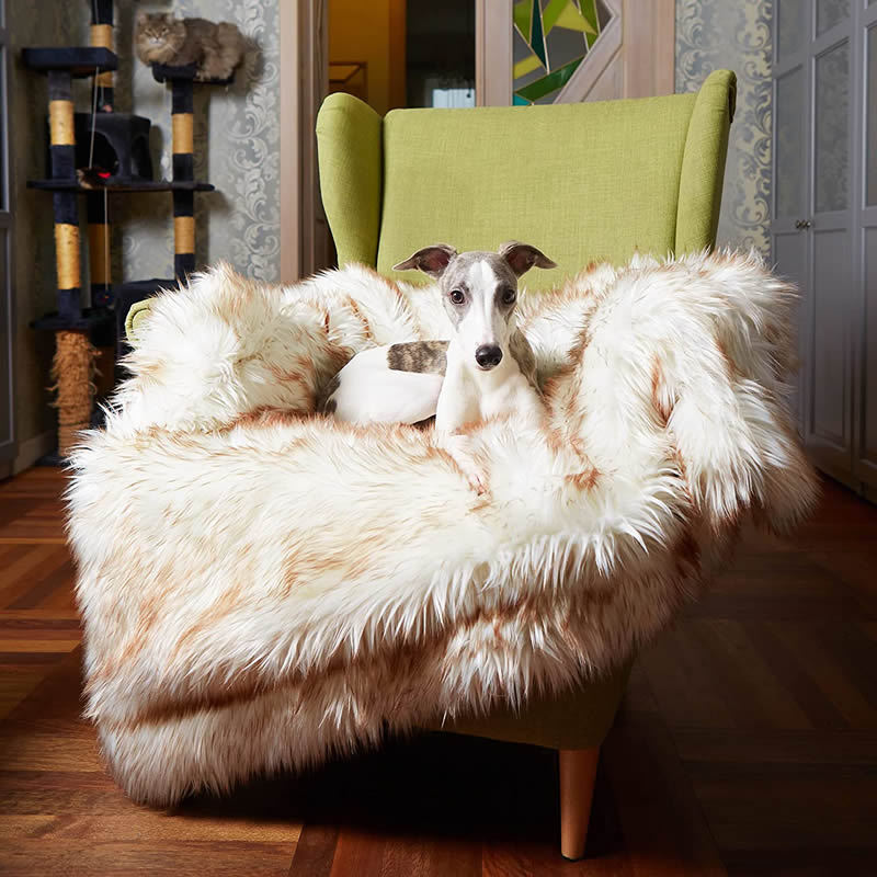 Waterproof dog couch blanket in coffee or black, view 7