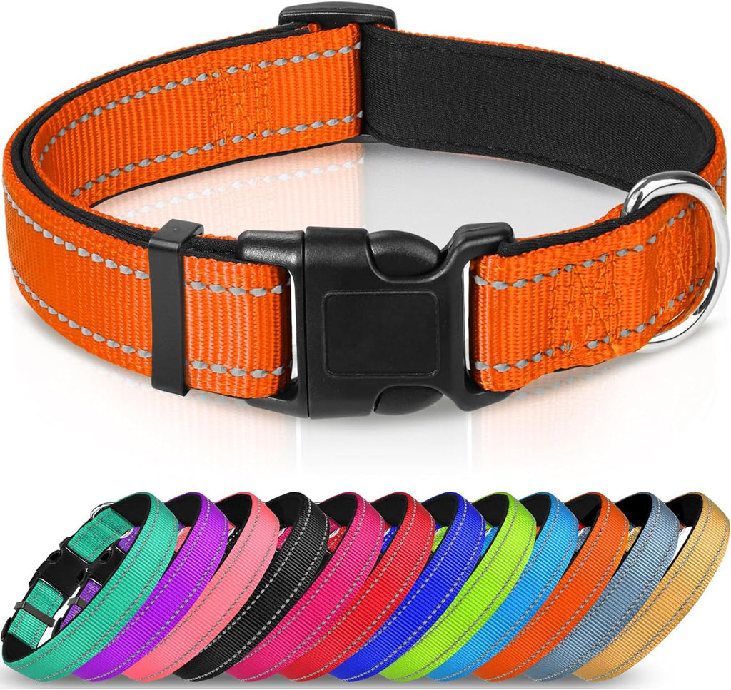 Adjustable reflective nylon dog collar, view 6