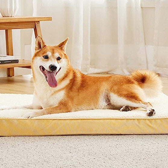 Foam dog crate pad with removable washable cover, view 10