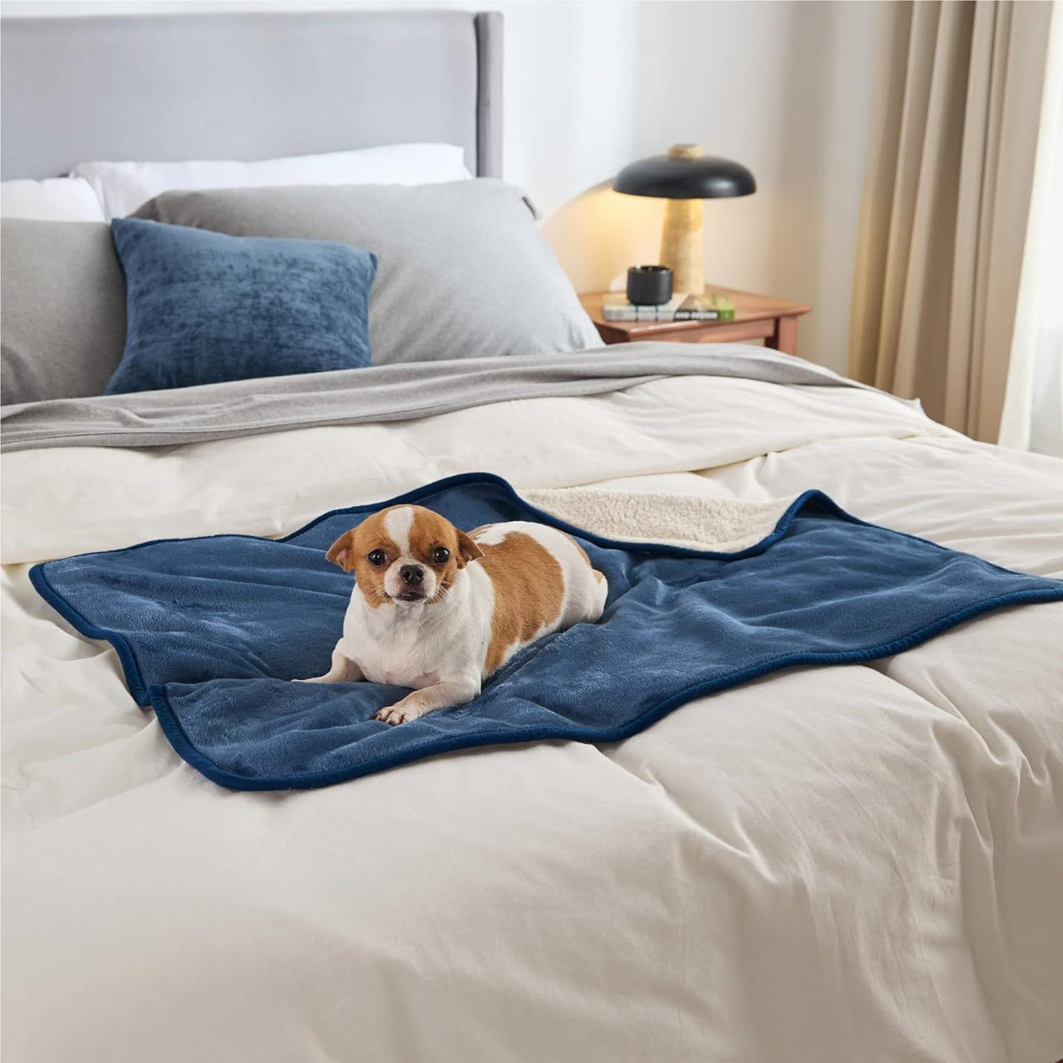 Waterproof sherpa dog blanket for couch and car seat, view 4