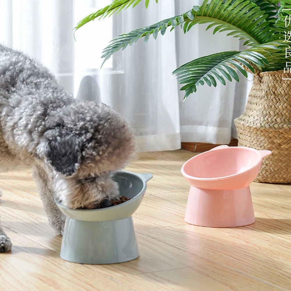 Tilted elevated cat food bowl with raised base, view 6