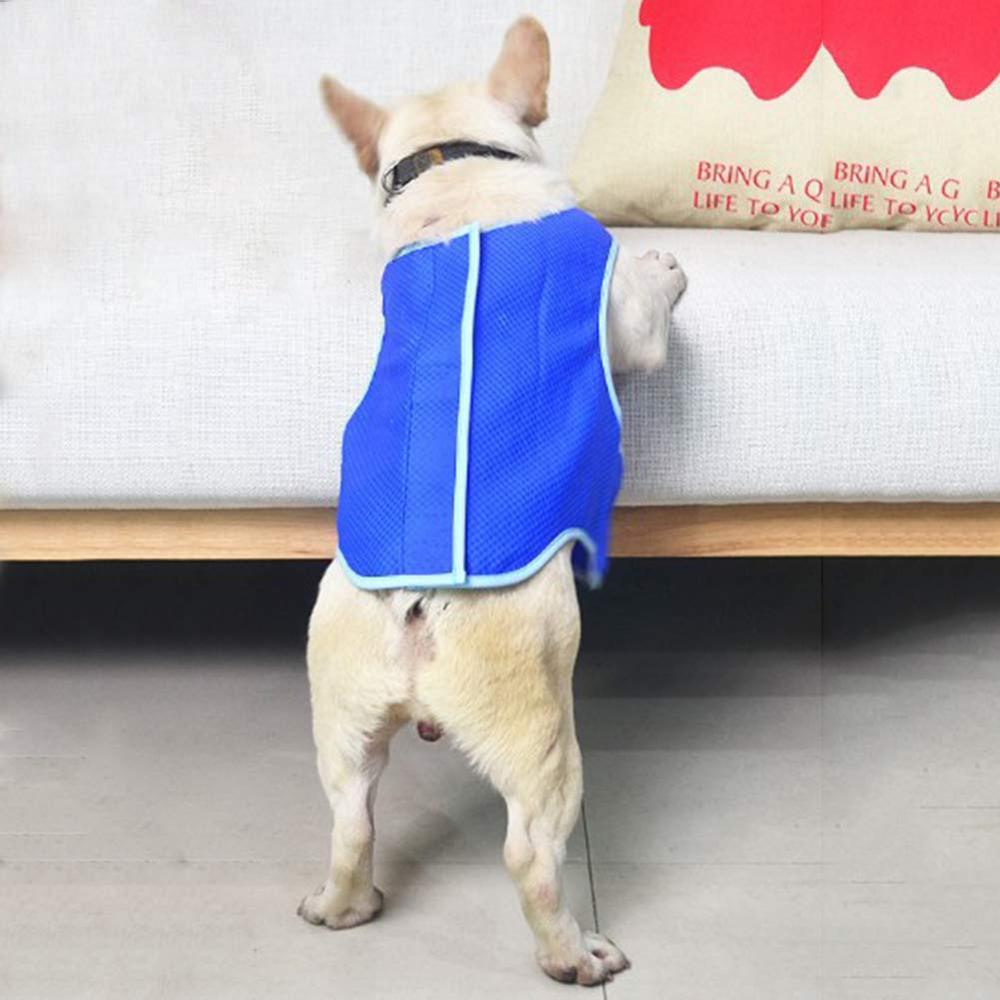 Blue summer cooling vest for small dogs, view 5