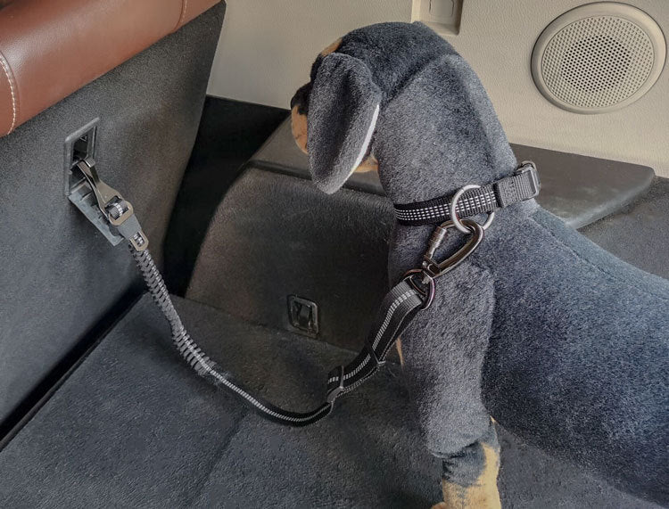 Reflective bungee dog car seat belt restraint, view 5