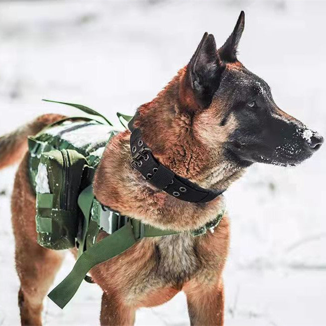 Heavy-duty nylon tactical dog collar with metal buckle, view 2
