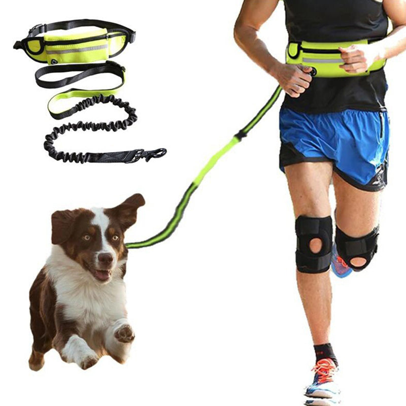 Hands free dog leash with padded waist belt and bungee, view 2