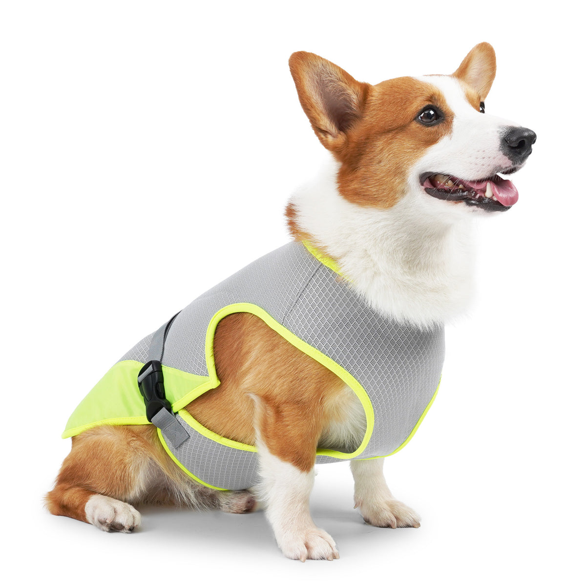 Breathable dog cooling vest for summer walks, view 2