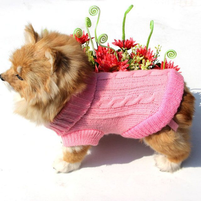 Black or white knit dog sweater with button details, view 3