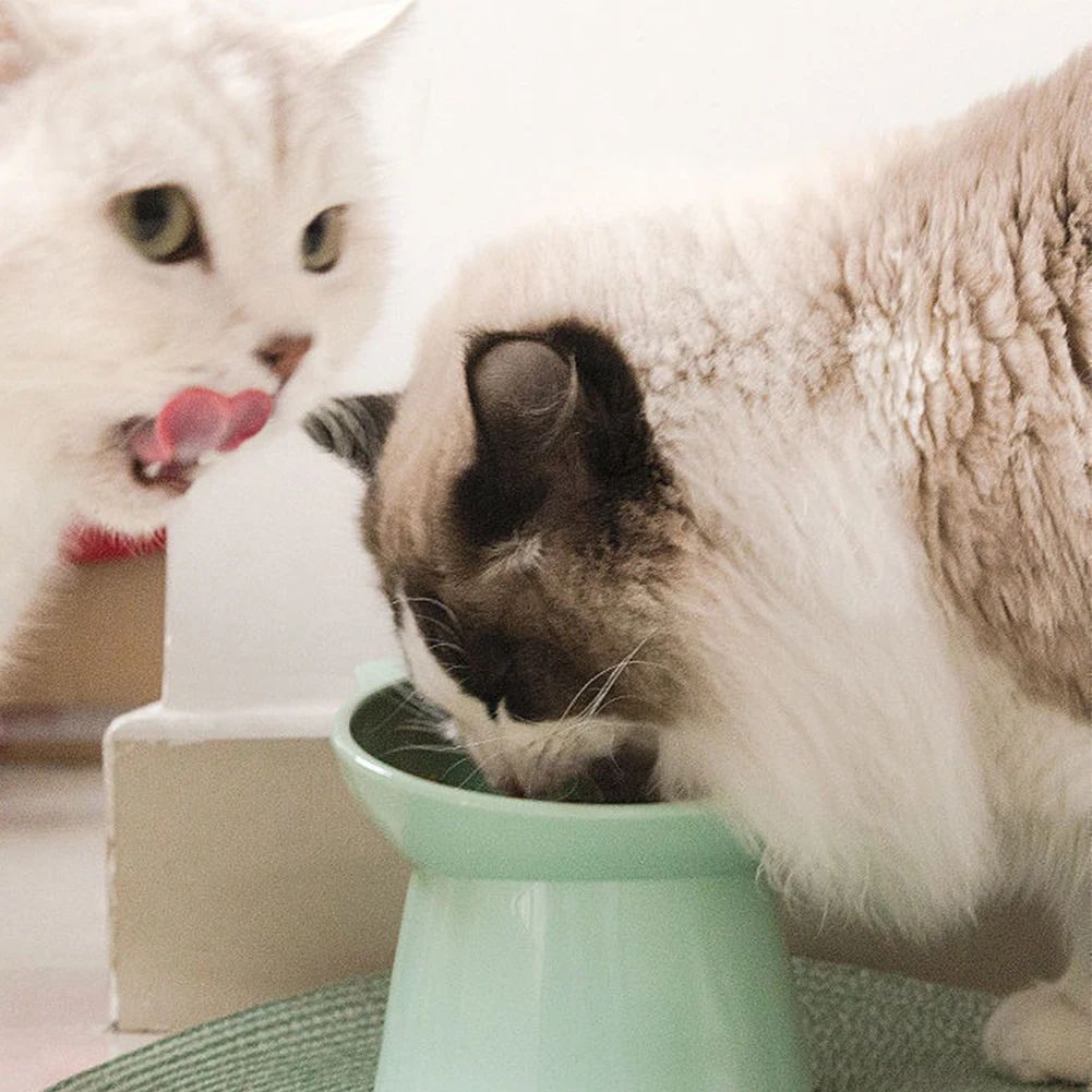 Tilted elevated cat food bowl with raised base, view 8