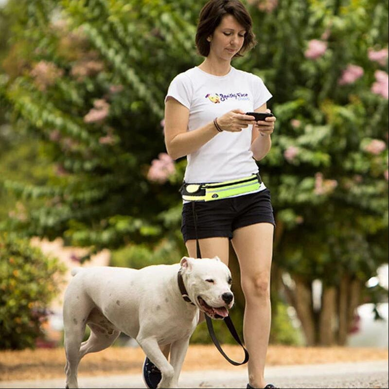 Hands free dog leash with padded waist belt and bungee, view 5