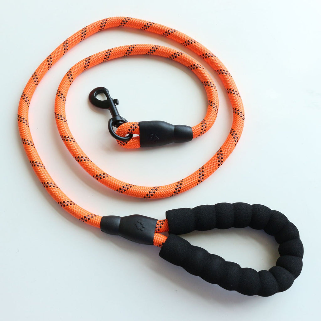 Reflective braided nylon rope dog leash, view 2