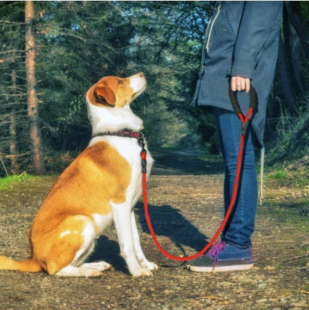 Reflective rope dog leash with foam handle, view 2