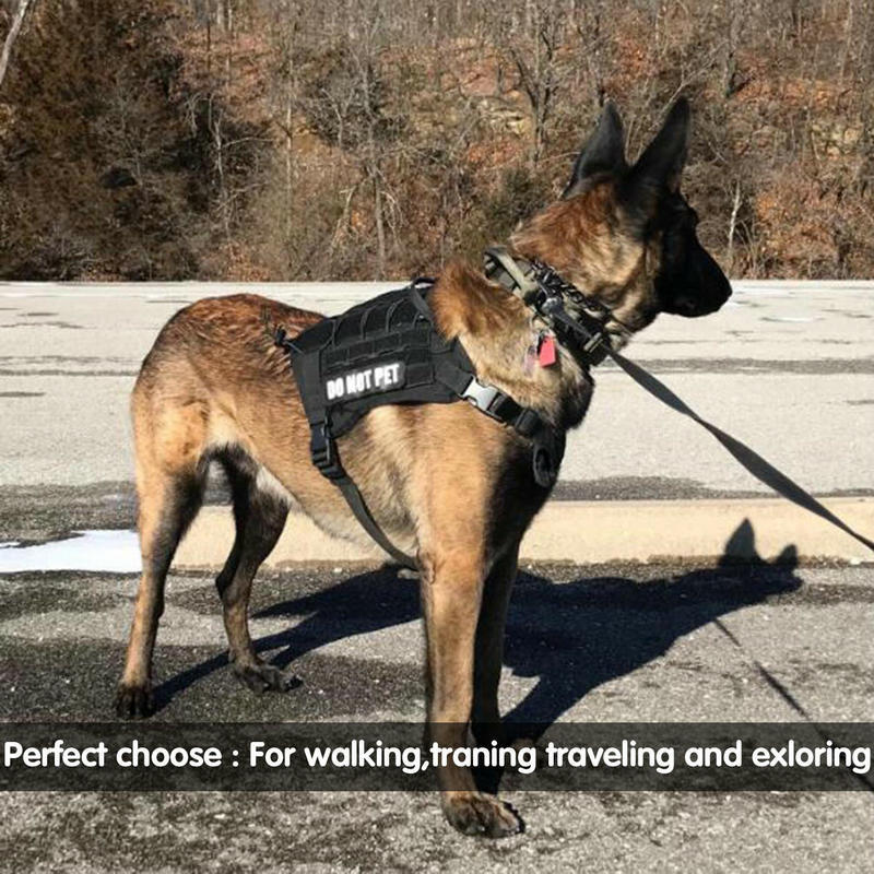 Tactical bungee dog leash with two padded handles, view 3