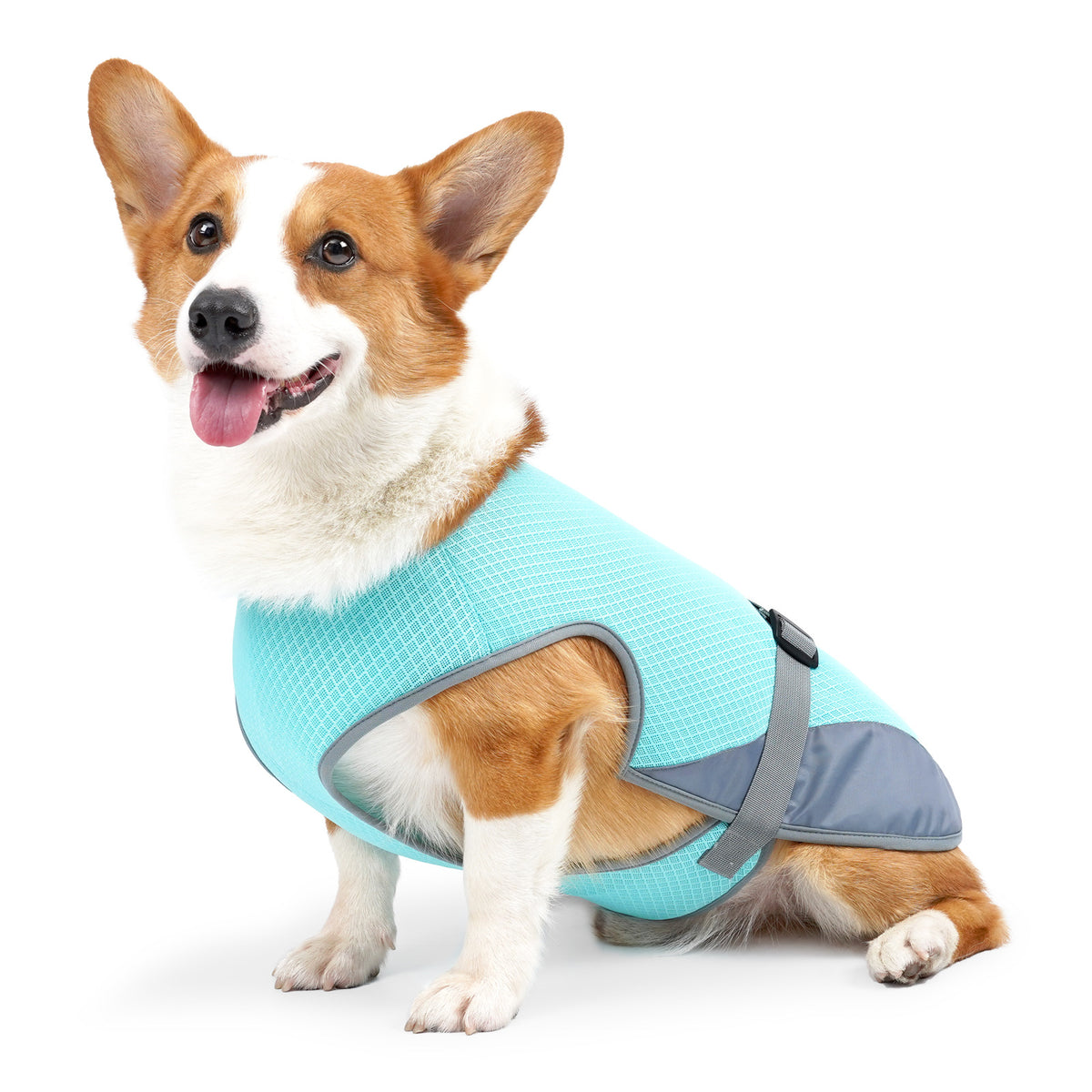 Breathable dog cooling vest for summer walks, view 4