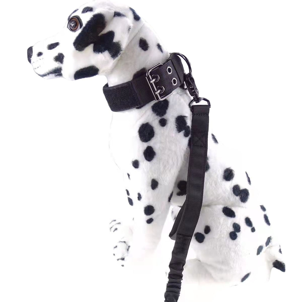 Heavy-duty nylon tactical dog collar with metal buckle, view 5