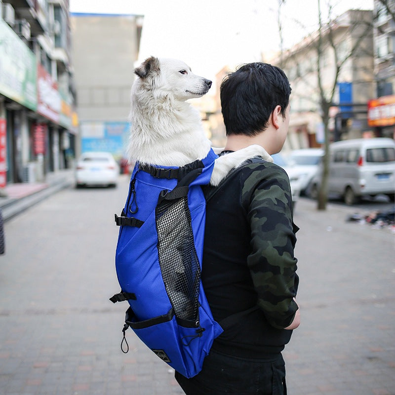 Legs-out front dog carrier backpack for small dogs, view 8