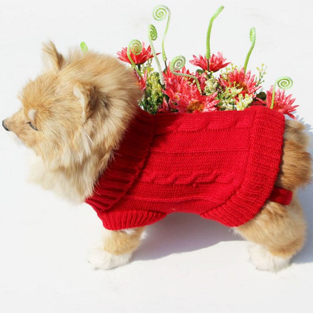 Black or white knit dog sweater with button details, view 6