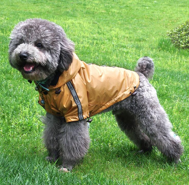 Blue hooded dog raincoat with warm lining, view 4