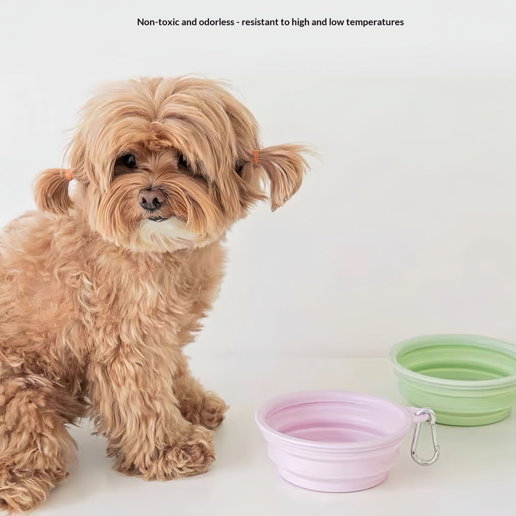 Collapsible TPE travel dog bowl for food and water, view 3
