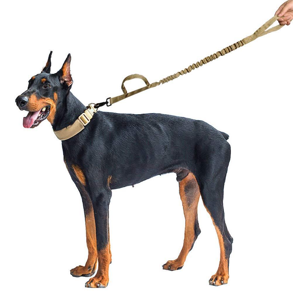 Tactical bungee dog leash with two padded handles, view 8