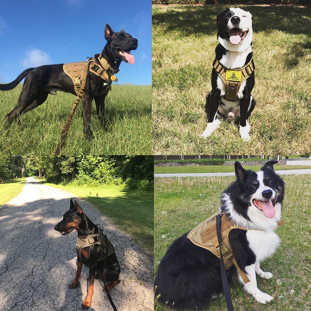 Heavy duty tactical nylon dog harness with handle, view 8