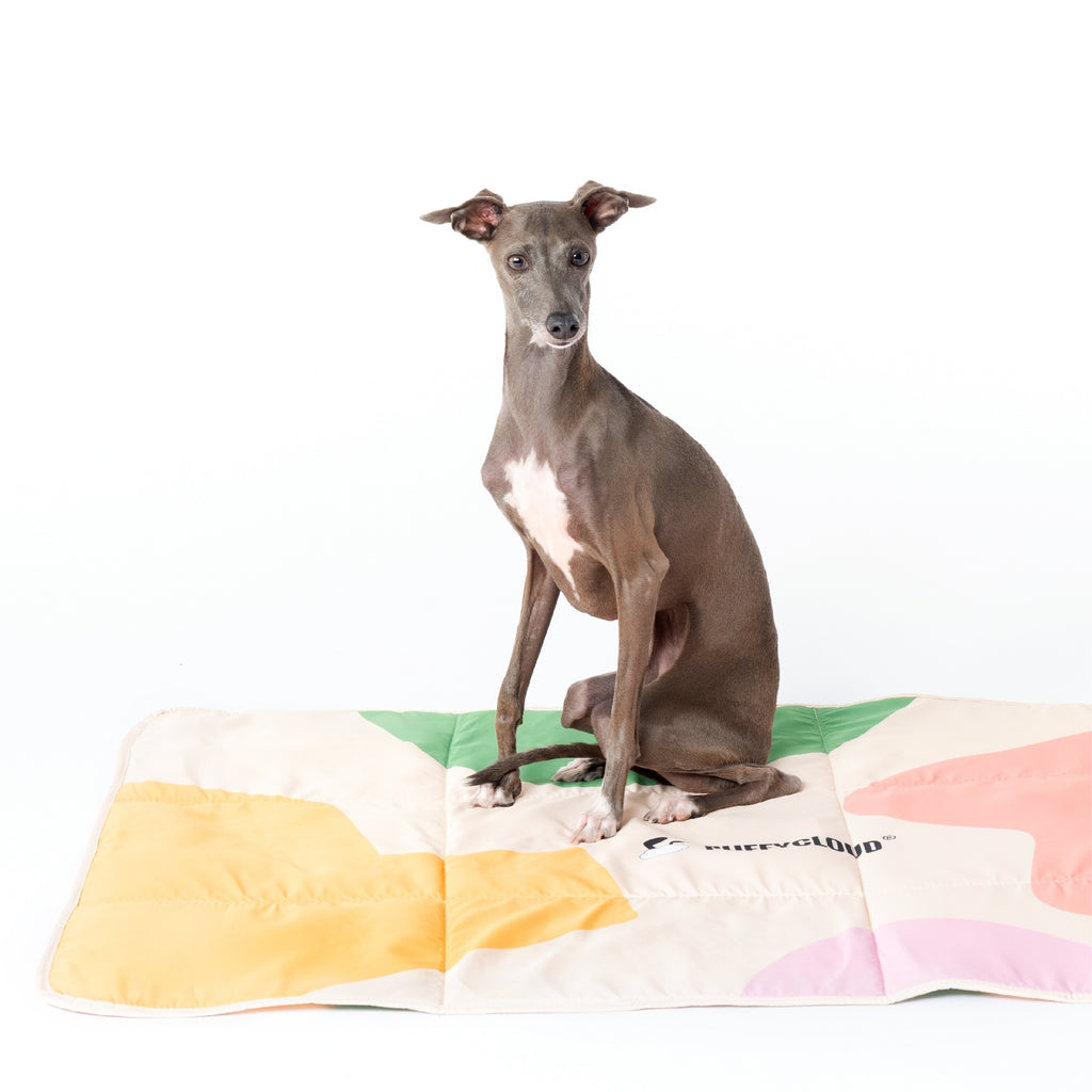 Blue roll-up waterproof dog travel mat, view 7