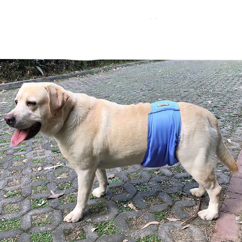 Washable male dog belly band wrap, view 5