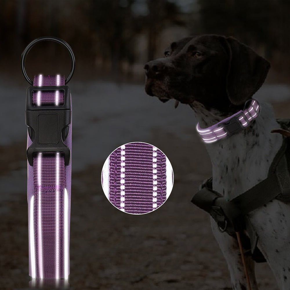 Padded neoprene reflective dog collar, view 4