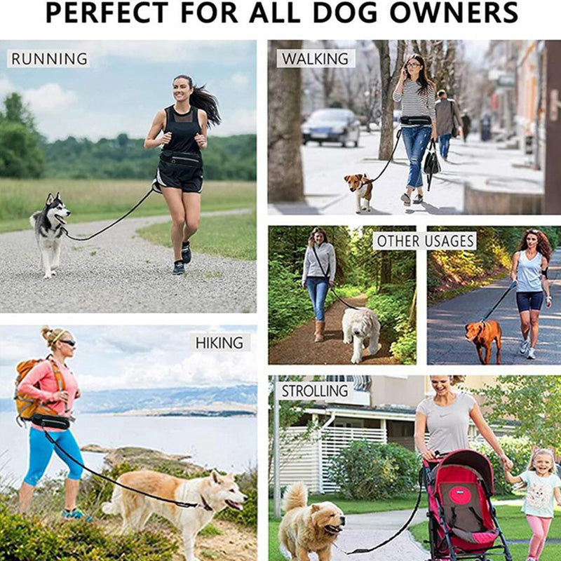 Hands free dog leash with padded waist belt and bungee, view 4