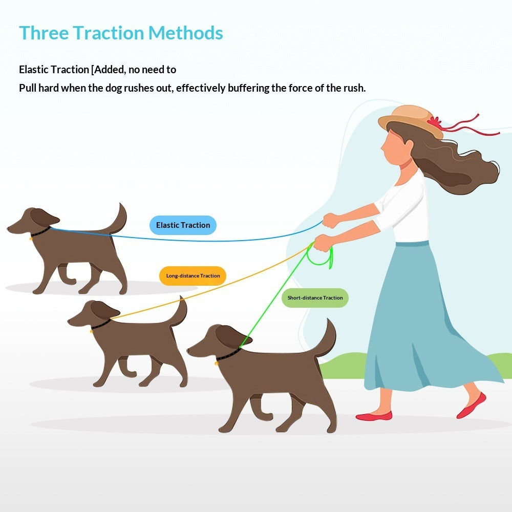 Short reflective bungee dog leash, view 3
