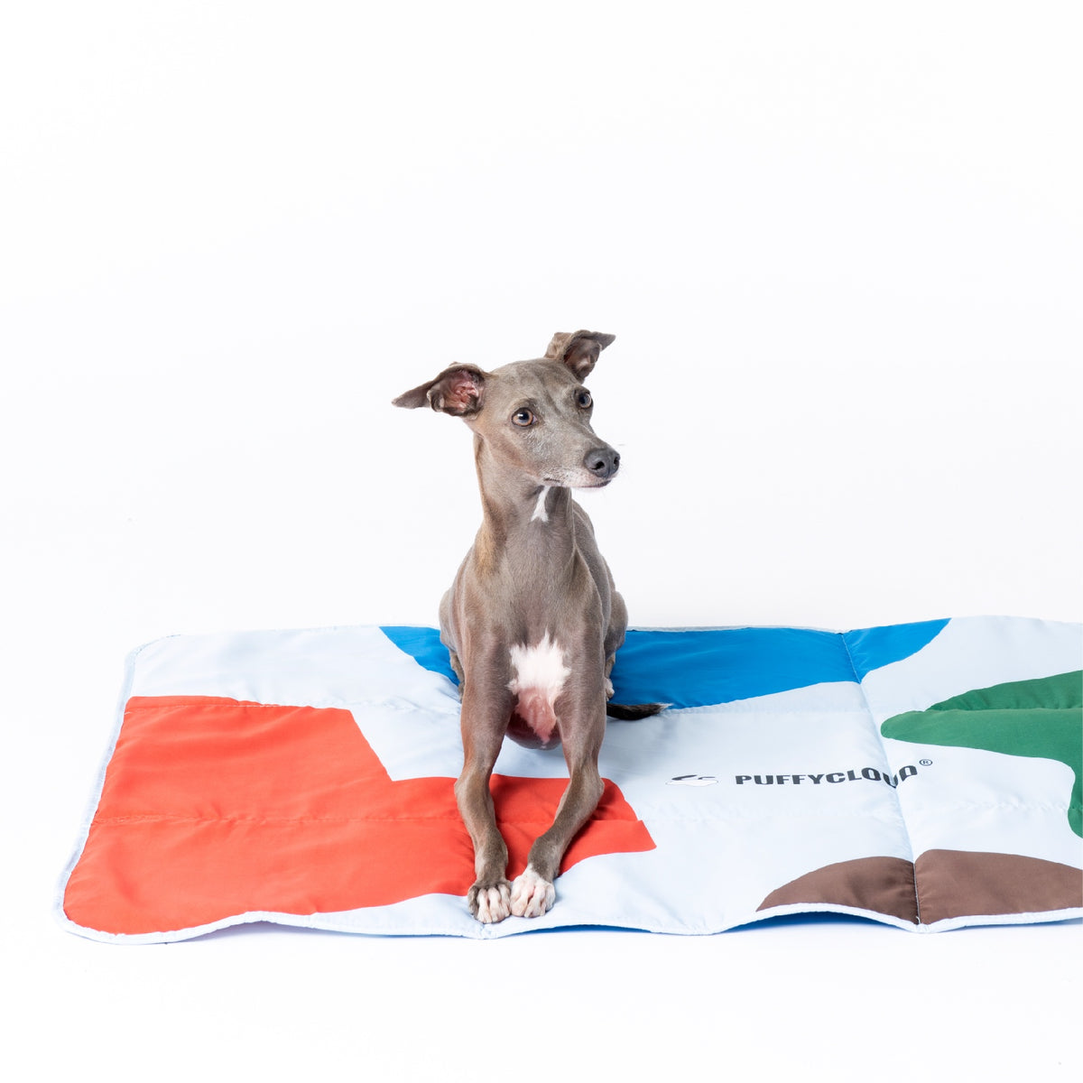 Blue roll-up waterproof dog travel mat, view 5