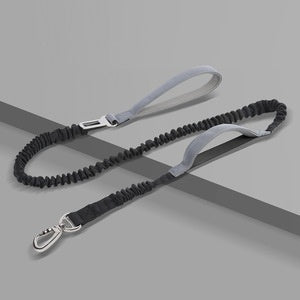 Short reflective bungee dog leash, view 4