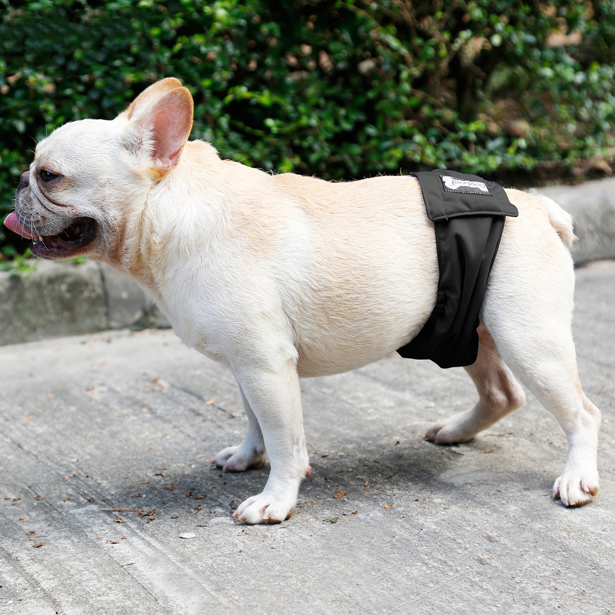 Washable male dog belly band wrap, view 2