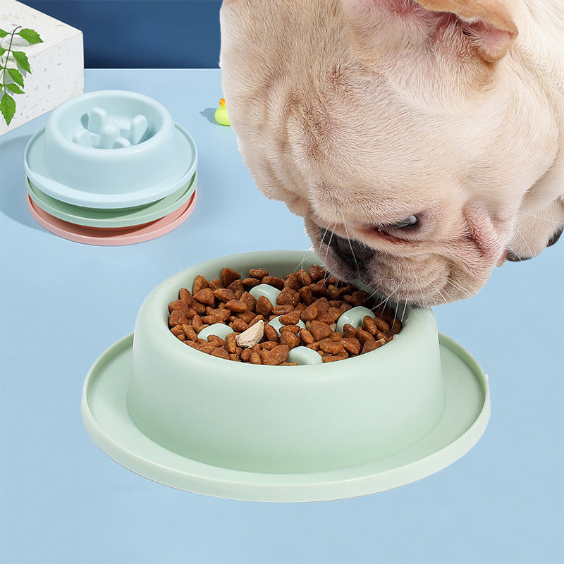 Small plastic slow feeder bowl for dogs and cats, view 2