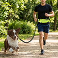 Hands Free Dog Leash Waist Belt with Bungee
