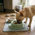 Slow Feeder Bowl for Small Dogs & Cats, Anti-Gulp