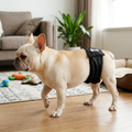 Washable Male Dog Belly Band Reusable Wrap Diaper