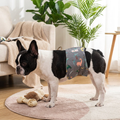 Washable Dog Diaper Pants, Reusable Sanitary Panties