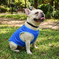 Dog Cooling Vest Breathable Summer Vest for Small Dogs