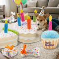 Dog Birthday Squeaky Plush Toy Cake Gift Box Bone