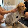Quick-Dry Microfiber Pet Bath Towel for Dogs & Cats